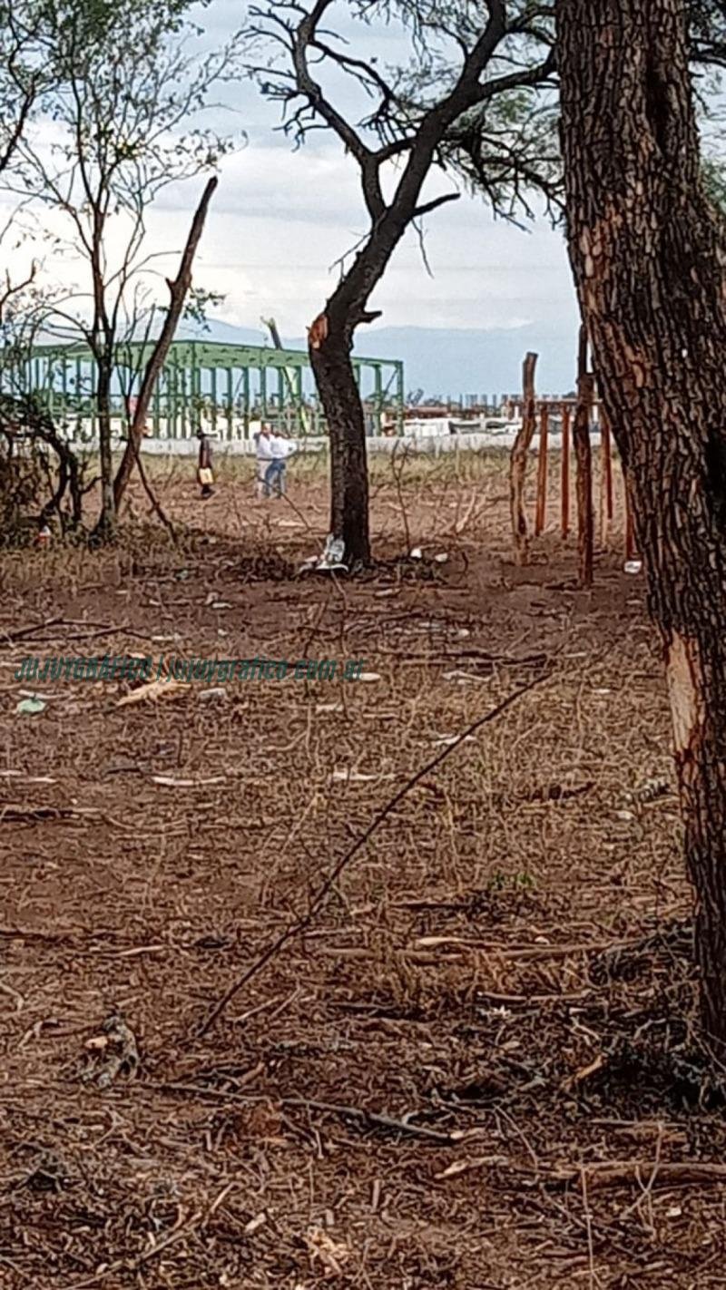 Desalojo en Finca El Pongo, un siglo de historia campesina destruido por intereses económicos 5 Desalojo en Finca El Pongo, un siglo de historia campesina destruido por intereses económicos 5